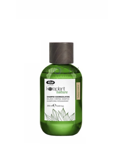 Фото модификации 2