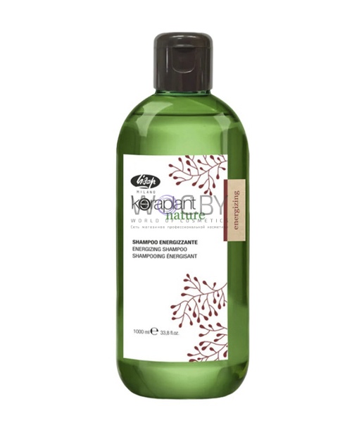 Фото модификации 2