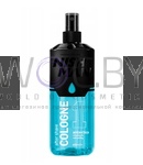 Превью модификации 1