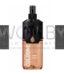 Превью модификации 10