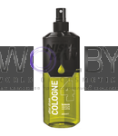 Превью модификации 10