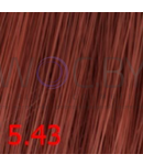 Превью 29
