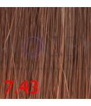 Превью 65