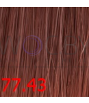 Превью 144