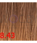Превью 81
