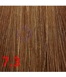 Превью 22