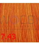 Превью 25