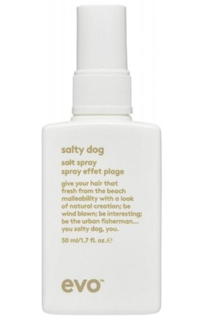 Evo Спрей текстурирующий для волос Salty Dog Salt Spray