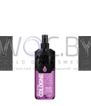 Превью модификации 2