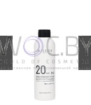 Превью модификации 1