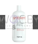 Превью 4