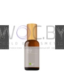 Превью модификации 1