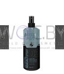 Превью модификации 1