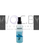 Превью модификации 1