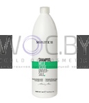 Превью модификации 1