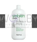 Превью модификации 2