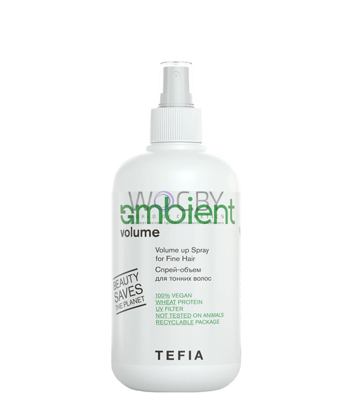 Фото модификации 1