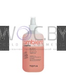 Превью модификации 1