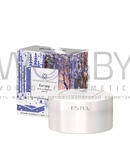 Превью модификации 1